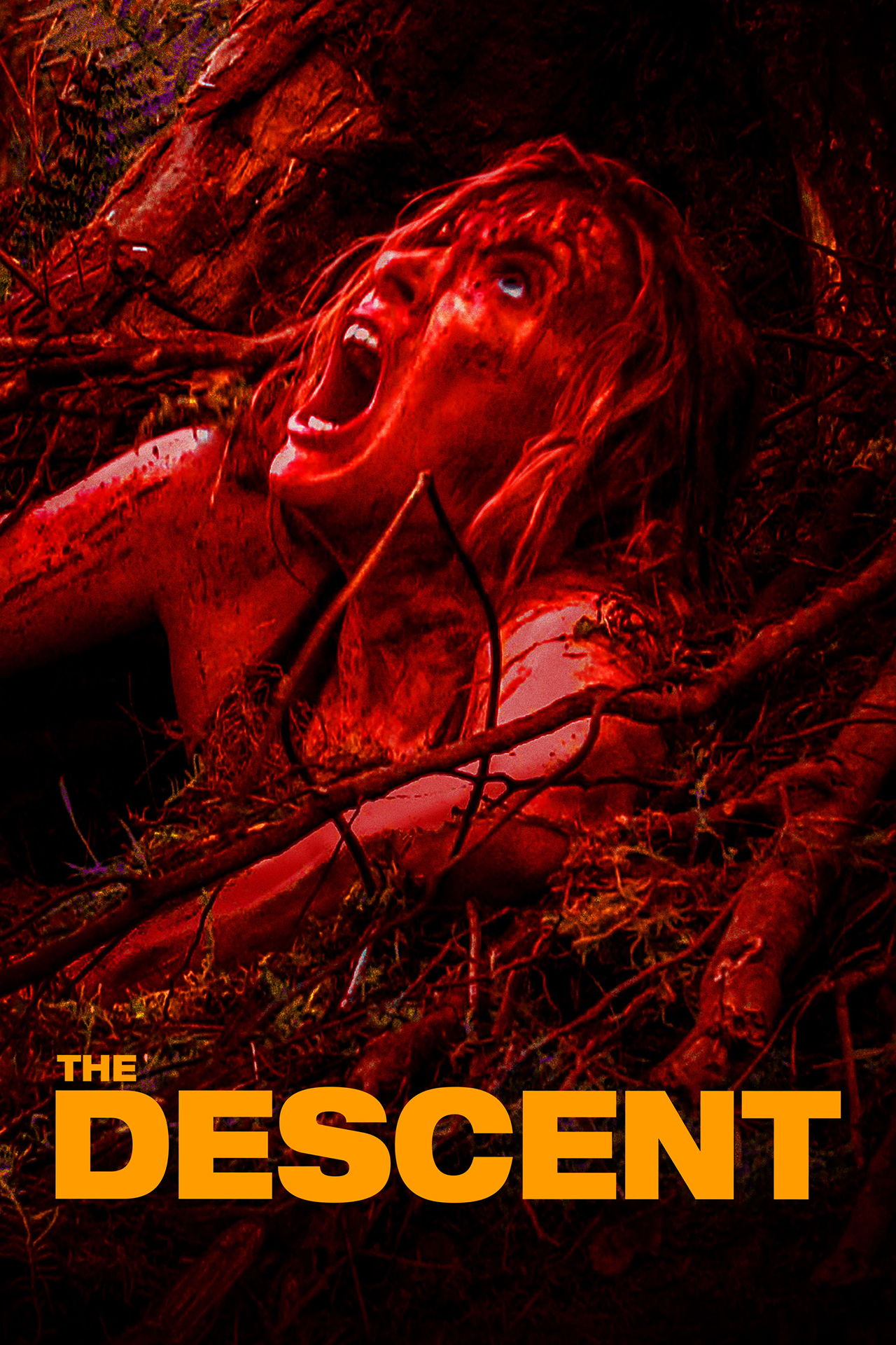 The Descent (2005) [23872] (A1764487122) [[Movies]] --Plex--